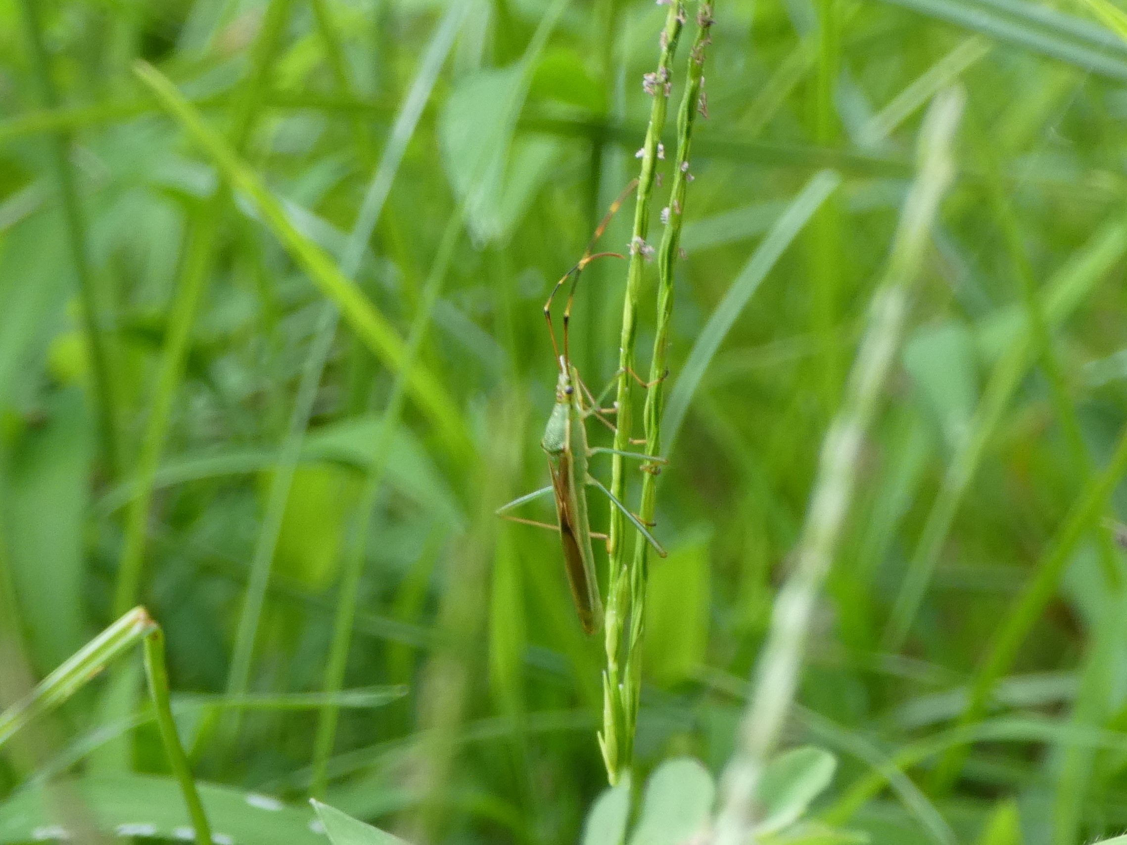 photo_1